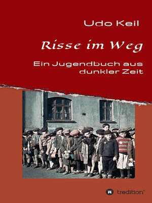 cover image of Risse im Weg